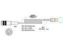 Spiral Cable terminated to 8 way Amphenol Circular Socket to RJ48 10 way Plug